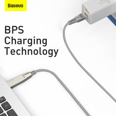 Baseus Flash Series Data Cable With Type-C To C+Dc 100W 2M Grey(CA1T2-B0G)