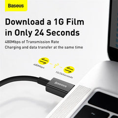 Baseus Superior Series Fast Charging Data Cable Type-C To IPhone Pd 20W