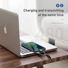 Baseus Simple Hw Quick Charge Charging Data Cable USB for Type-C 40W 23Cm (CATMBJ-BG1)